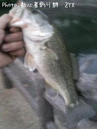 ¥Ö¥é¥Ã¥¯¥Ð¥¹