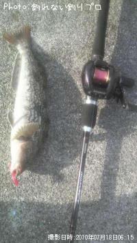 �����ʥ�