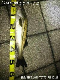 �����Х�