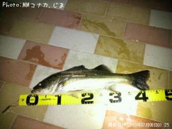 �����Х�