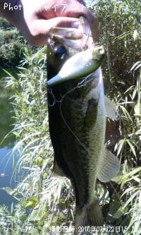 �֥�å��Х�