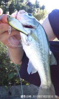 �֥�å��Х�