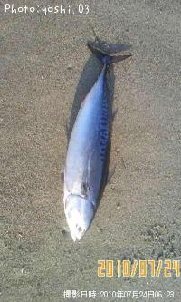 ¥½¥¦¥À¥¬¥Ä¥ª