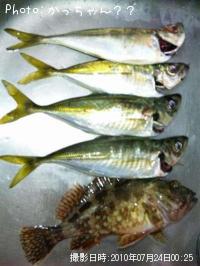 ������������