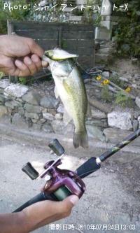 �֥�å��Х�