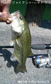 ¥Ö¥é¥Ã¥¯¥Ð¥¹