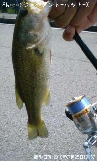 �֥�å��Х�