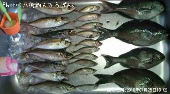 ¥á¥¸¥Ê¡¡òÍ