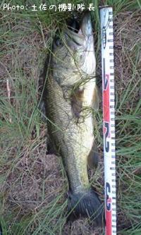 ¥Ö¥é¥Ã¥¯¥Ð¥¹