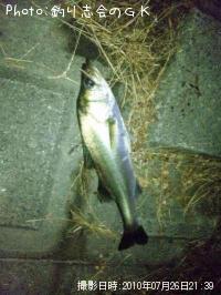 �����Х�