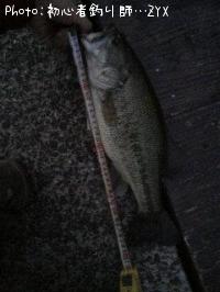 ¥Ö¥é¥Ã¥¯¥Ð¥¹