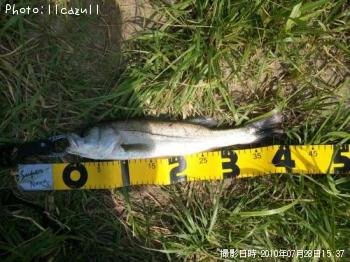 �����Х�