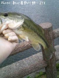 ¥Ö¥é¥Ã¥¯¥Ð¥¹