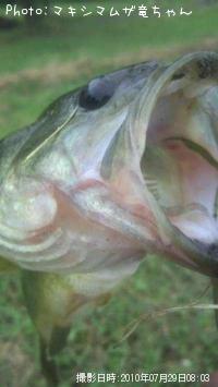 ¥Ö¥é¥Ã¥¯¥Ð¥¹