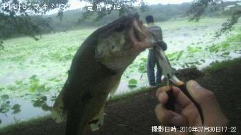 �֥�å��Х�