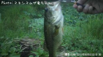 ¥Ö¥é¥Ã¥¯¥Ð¥¹