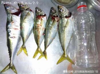 ¥¢¥¸¡¡¥µ¥Ð