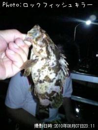 ¥Ù¥Ã¥³¥¦¥½¥¤