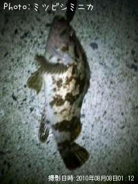 ¥¿¥±¥Î¥³¥á¥Ð¥ë