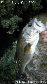 ¥Ö¥é¥Ã¥¯¥Ð¥¹