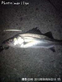 �����Х�