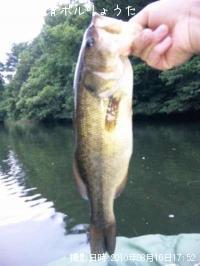 �֥�å��Х�