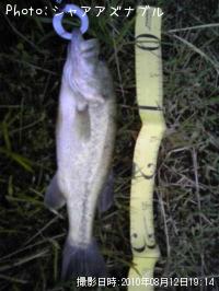 �֥�å��Х�