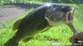 �֥�å��Х�