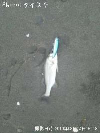 �����Х�