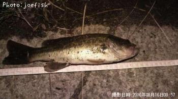 �֥�å��Х�