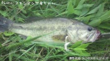 �֥�å��Х�