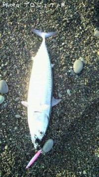 �ޥ륽����