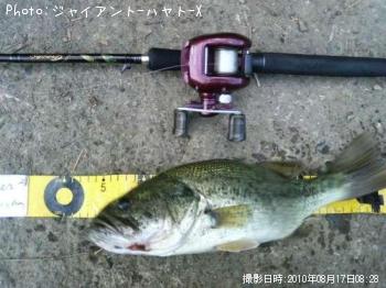 �֥�å��Х�