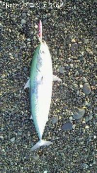 �ޥ륽����