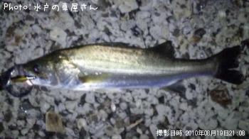 �����Х�