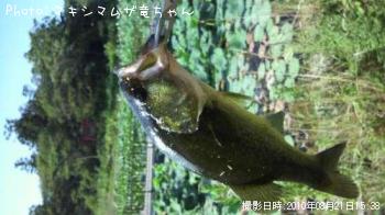 ¥Ö¥é¥Ã¥¯¥Ð¥¹