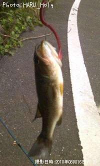 �֥�å��Х�