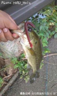 �֥�å��Х�