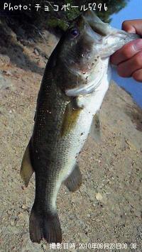 �֥�å��Х�