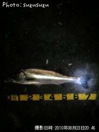 �����Х�