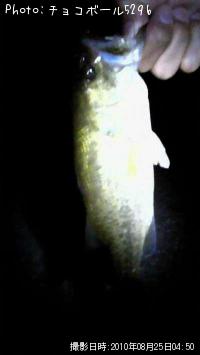 �֥�å��Х�