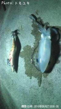 �����ꥤ��