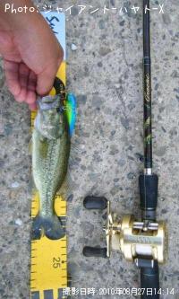 �֥�å��Х�