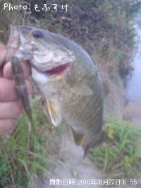 ¥Ö¥é¥Ã¥¯¥Ð¥¹