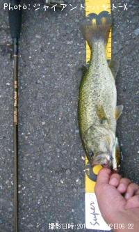 ¥Ö¥é¥Ã¥¯¥Ð¥¹