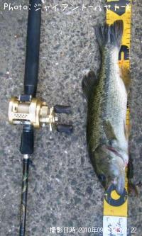 �֥�å��Х�