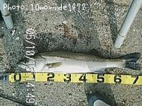 �����Х�