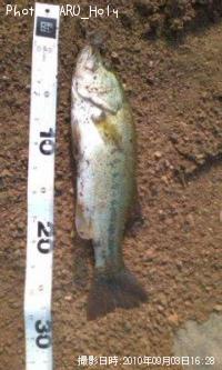 �֥�å��Х�