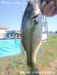 �֥�å��Х�