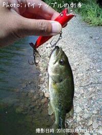 �֥�å��Х�